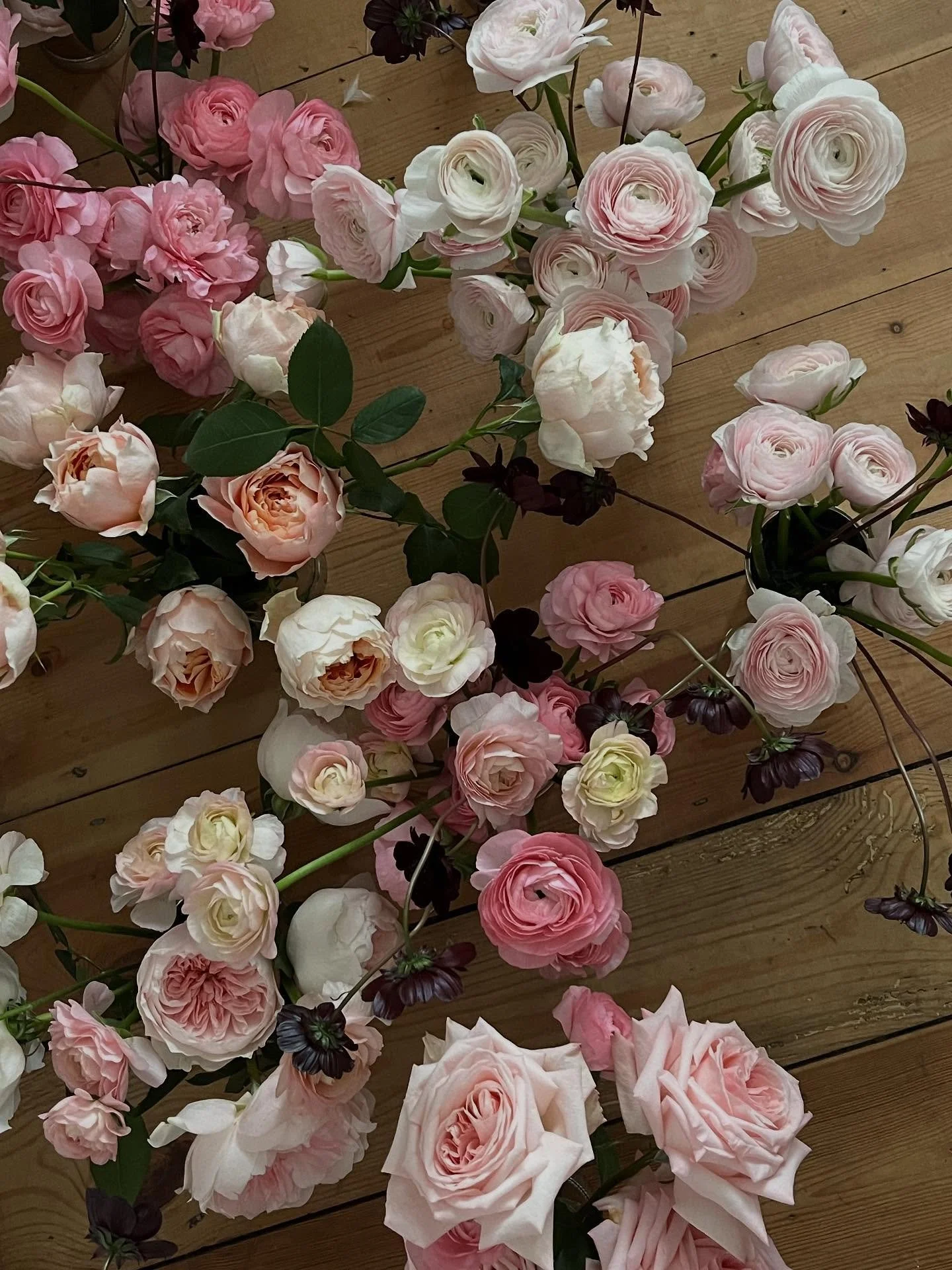 Walthamstow, November 2024