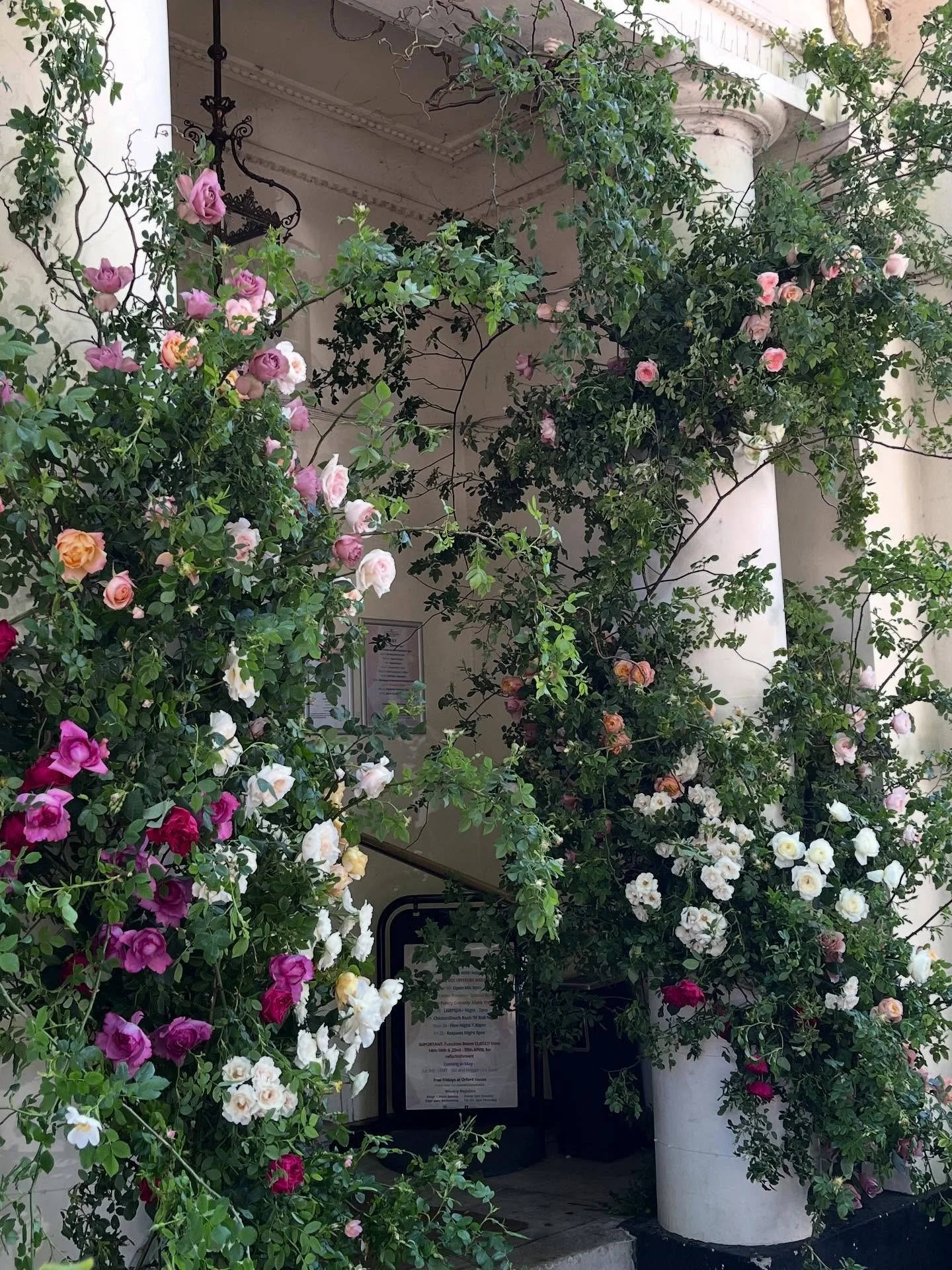 Orford House, May 2025