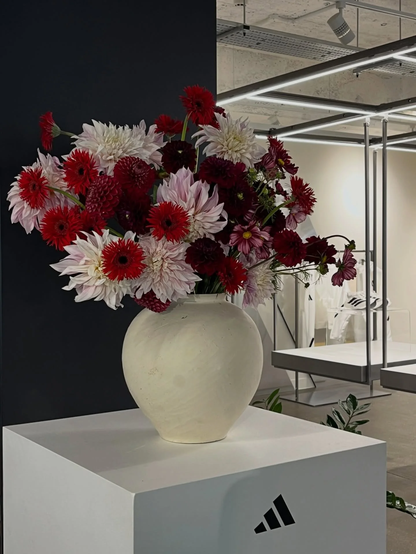 Adidas HQ, July 2024