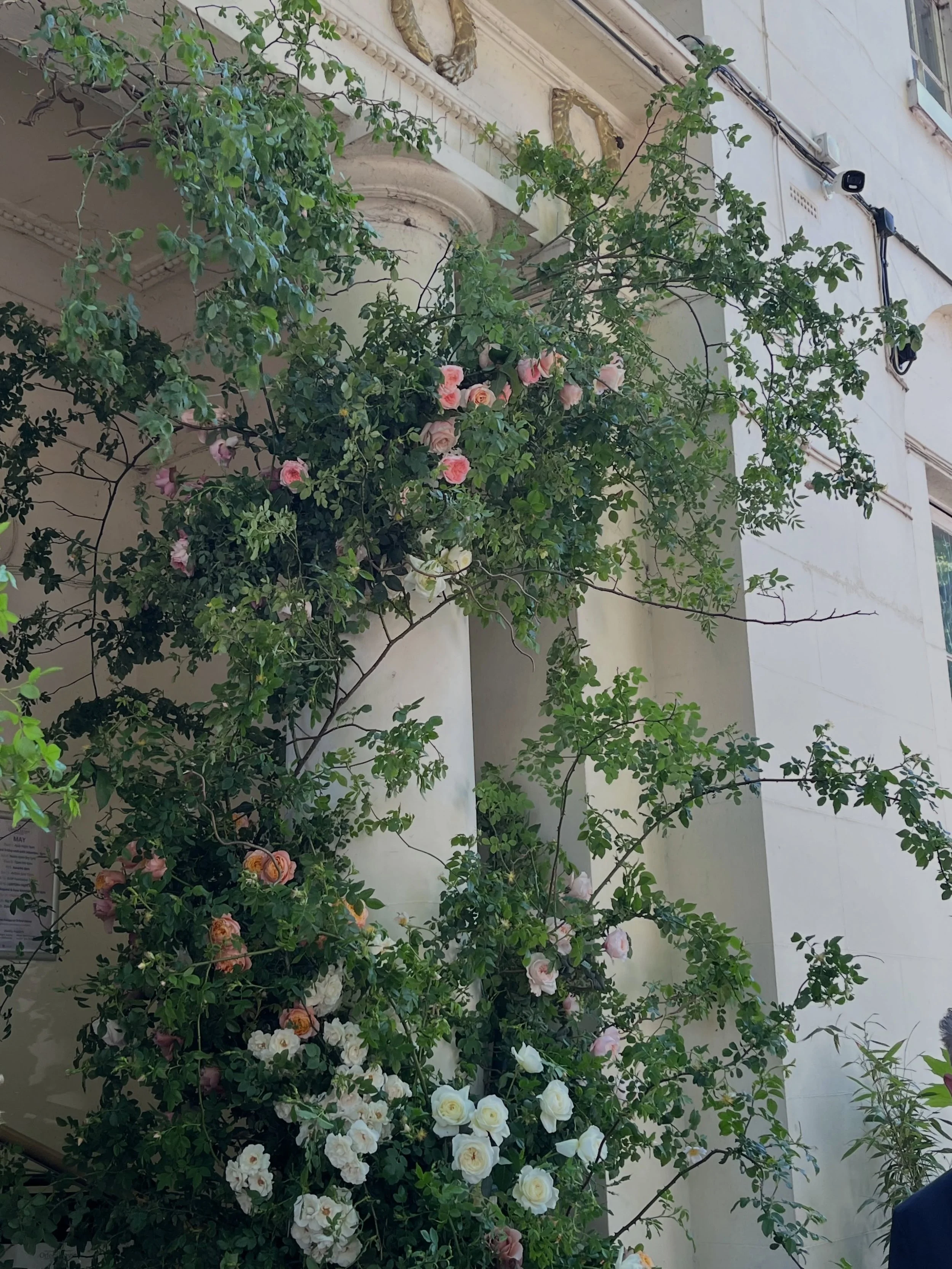 Orford House, May 2025