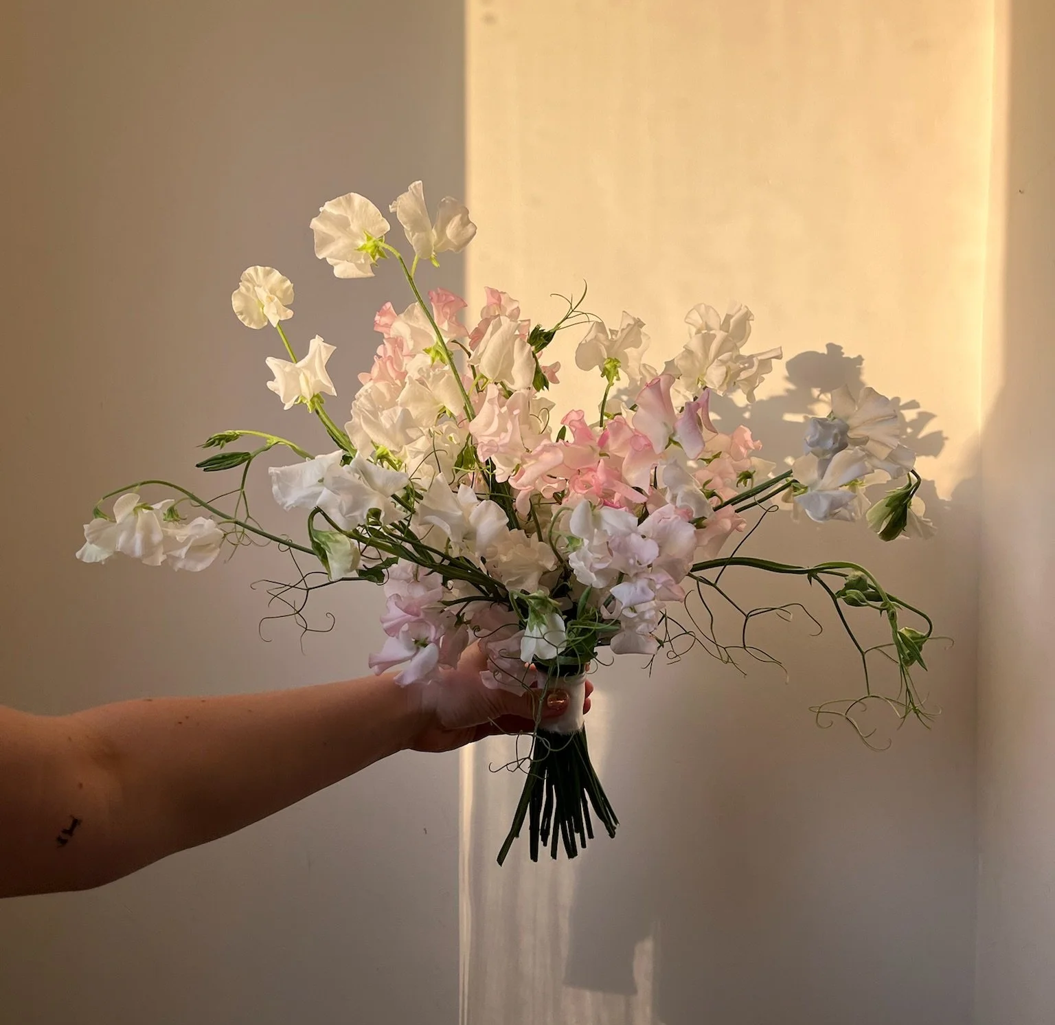 Person holding a bouquet of pink and white sweet pea flowers against a beige background, with sunlight casting shadows.