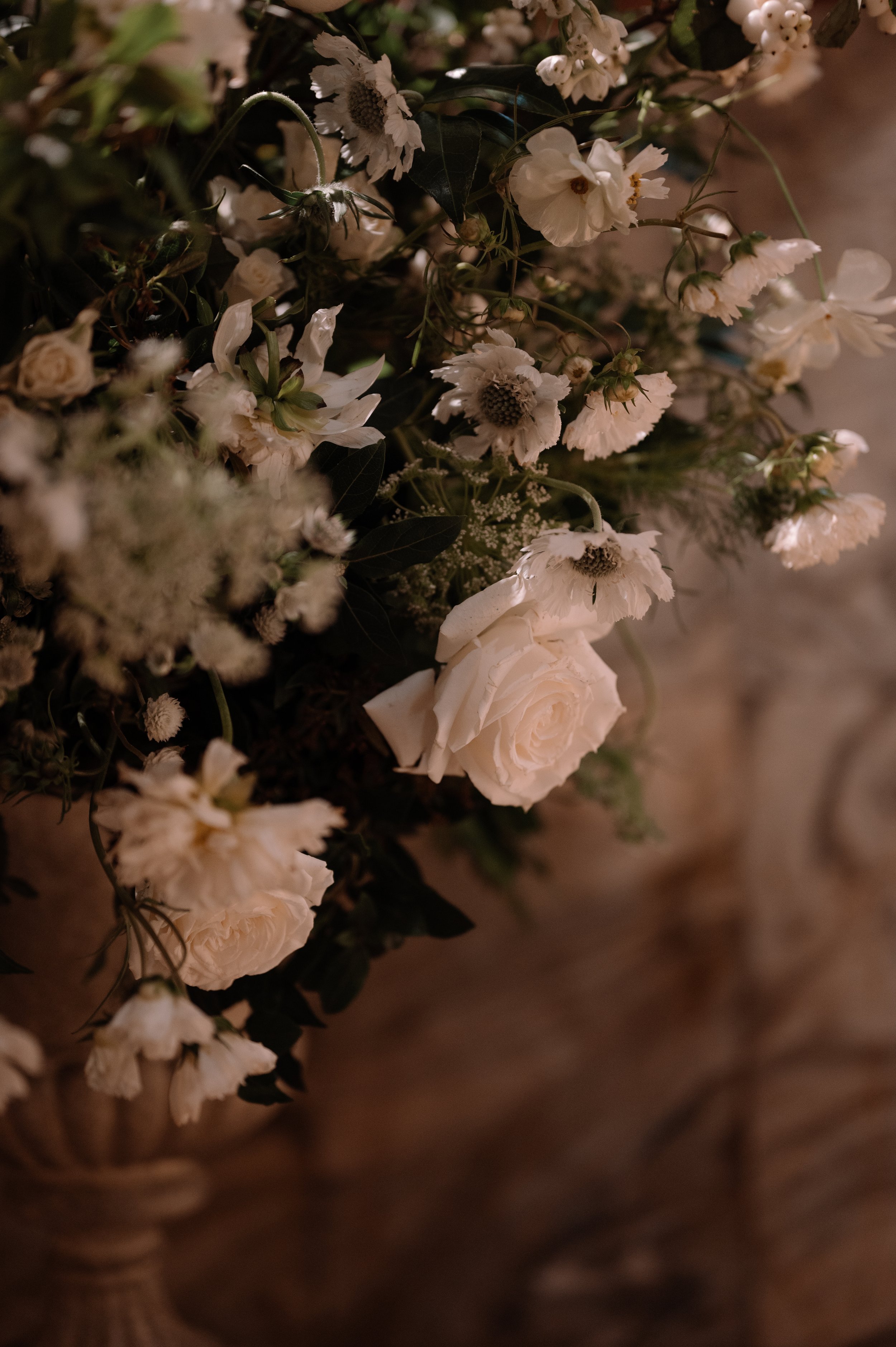 Taylor-Hughes Photography - Maddison + David-286.jpg