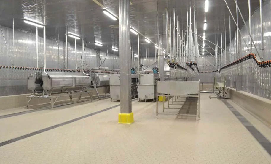 Vibrationless poultry crate conveyor modules engineered by TEKNOTES.