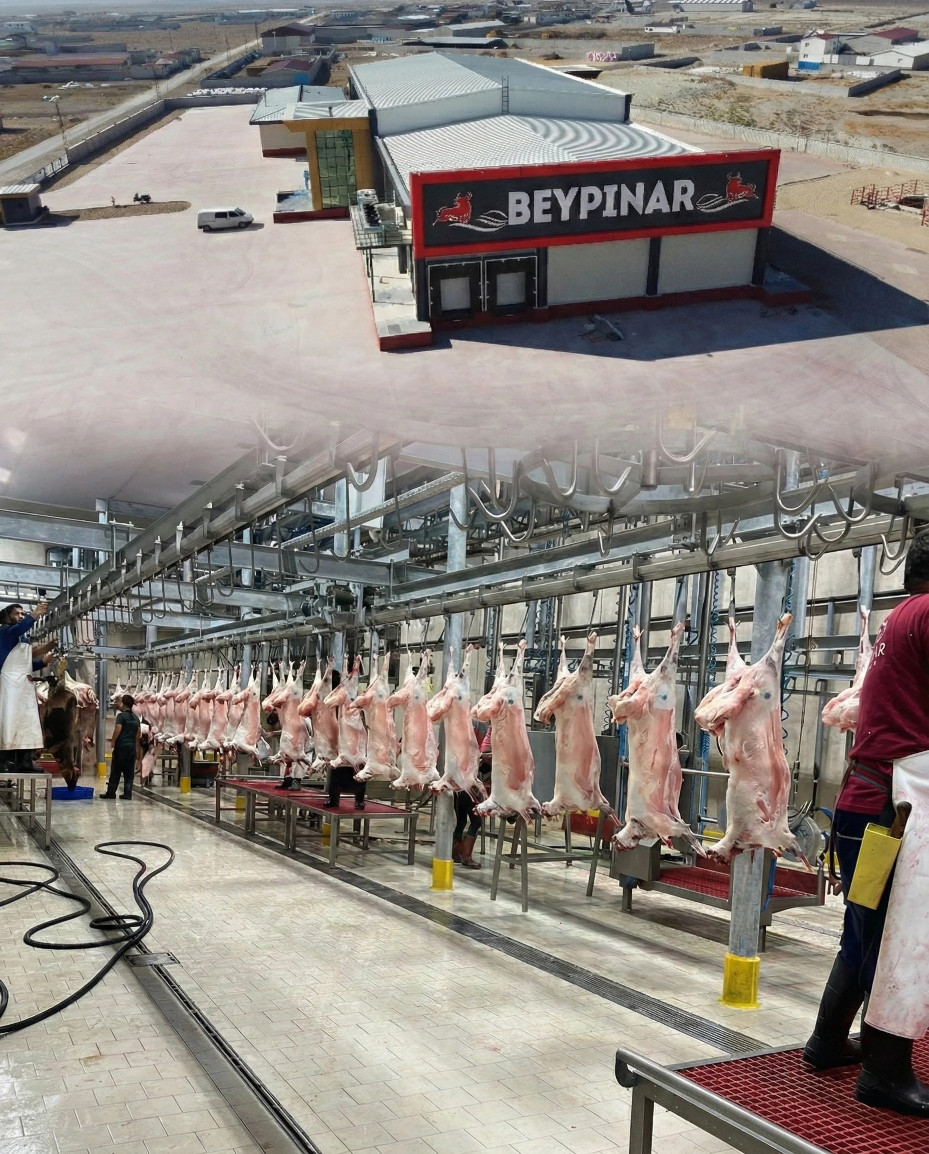  Beypınar Mezbaha Tic.San. A.Ş