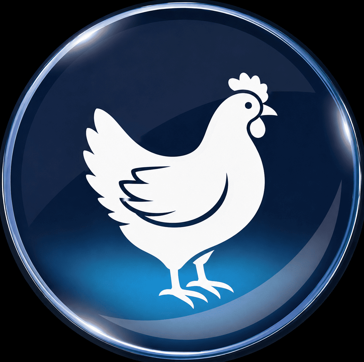 poultry equipments.png