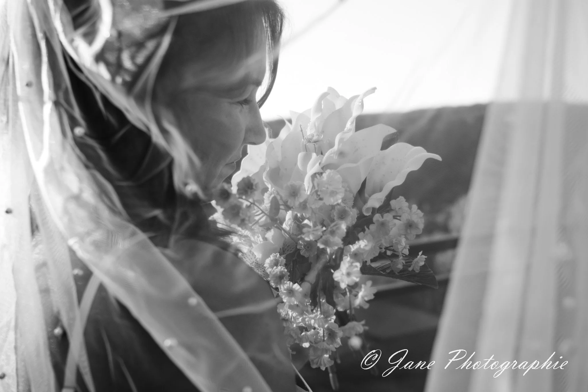 DSC_5593-2.jpg