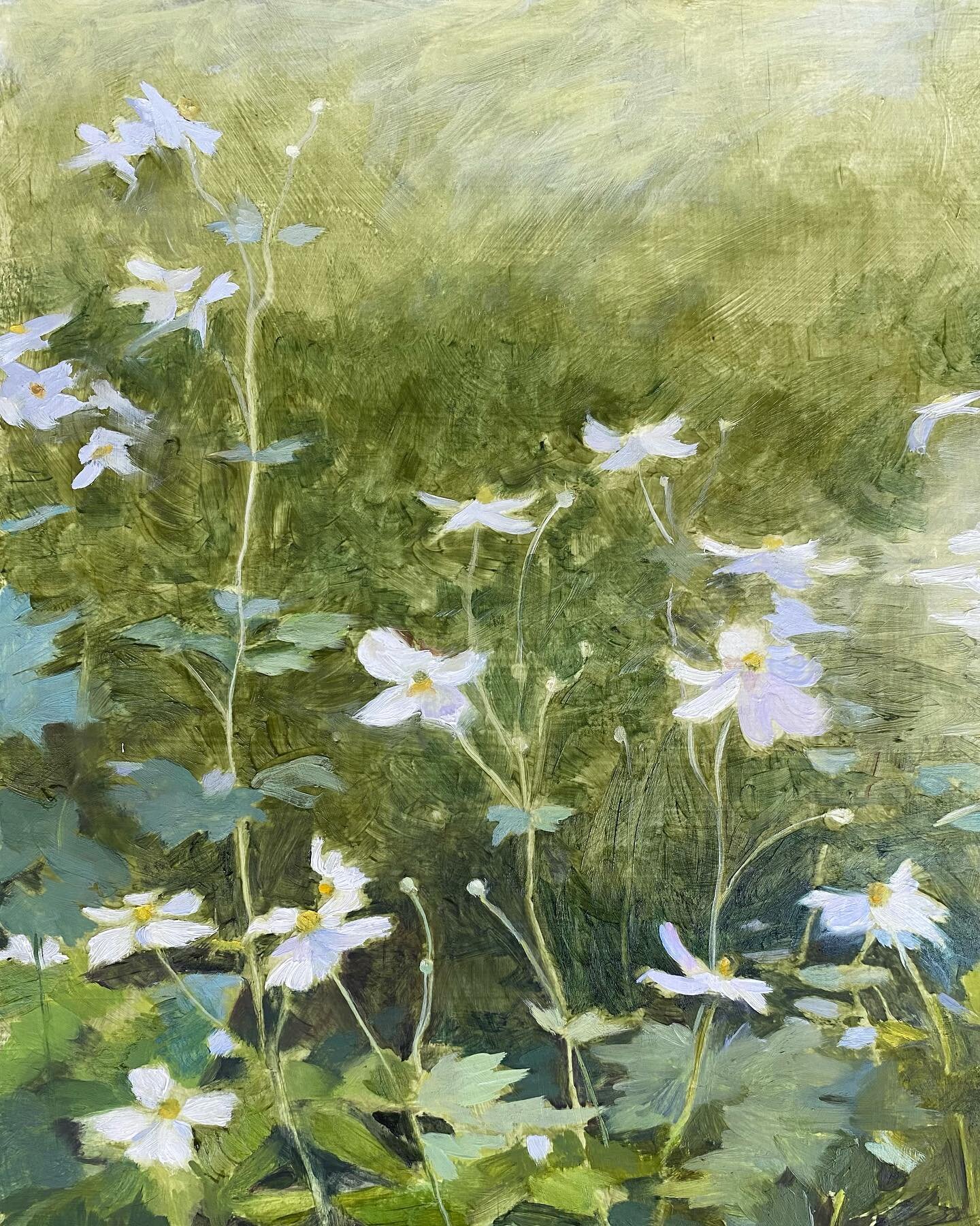 Green experiments. Not really sure exactly what I&rsquo;m doing, but somehow that makes more sense than knowing at the moment 🤔🤷🏻&zwj;♀️🌱
#windflowers #oilpainting #paintingnature #paintinglight #viriditas #terreverte #japaneseanemones #autumngar