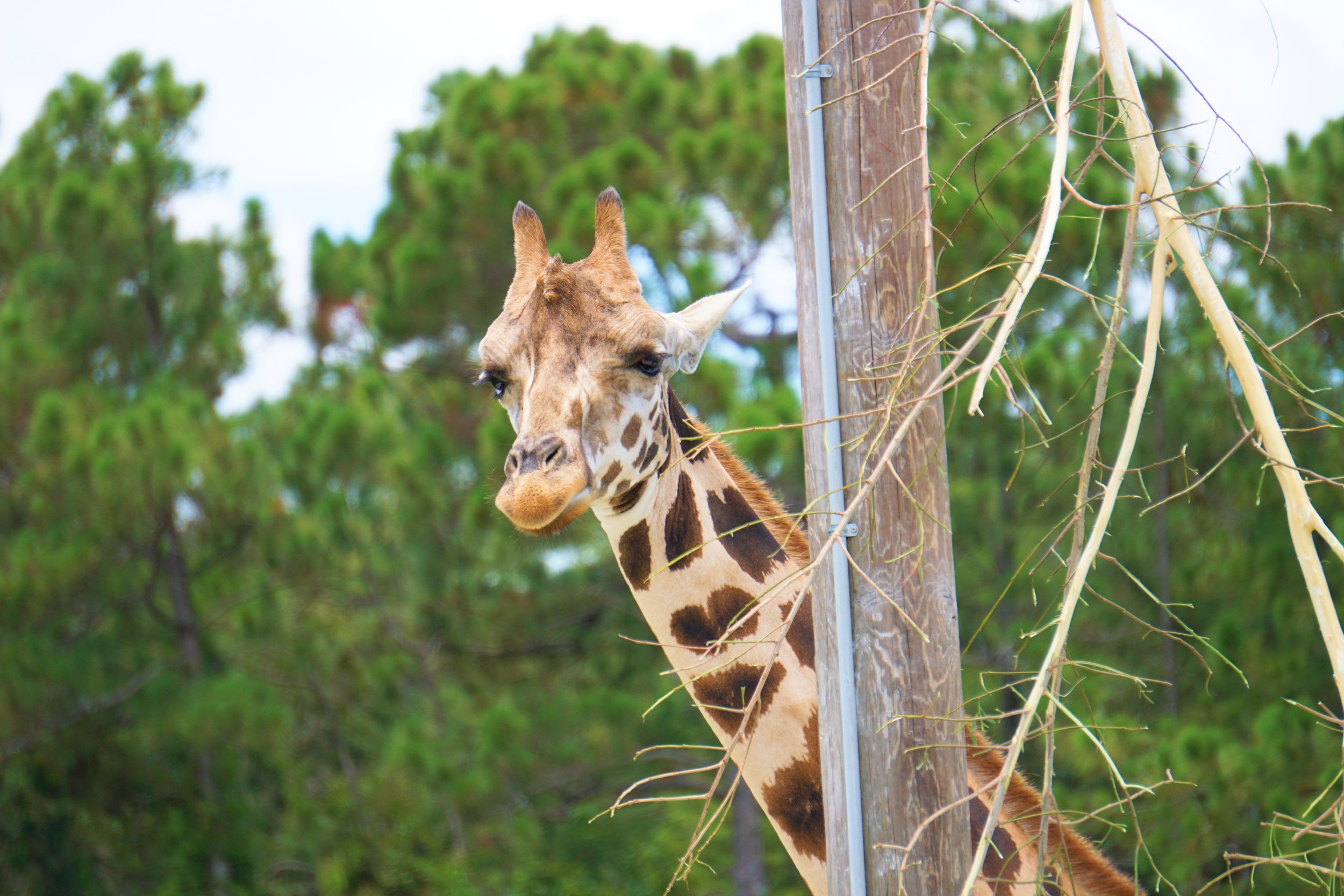 DSC01938.JPG