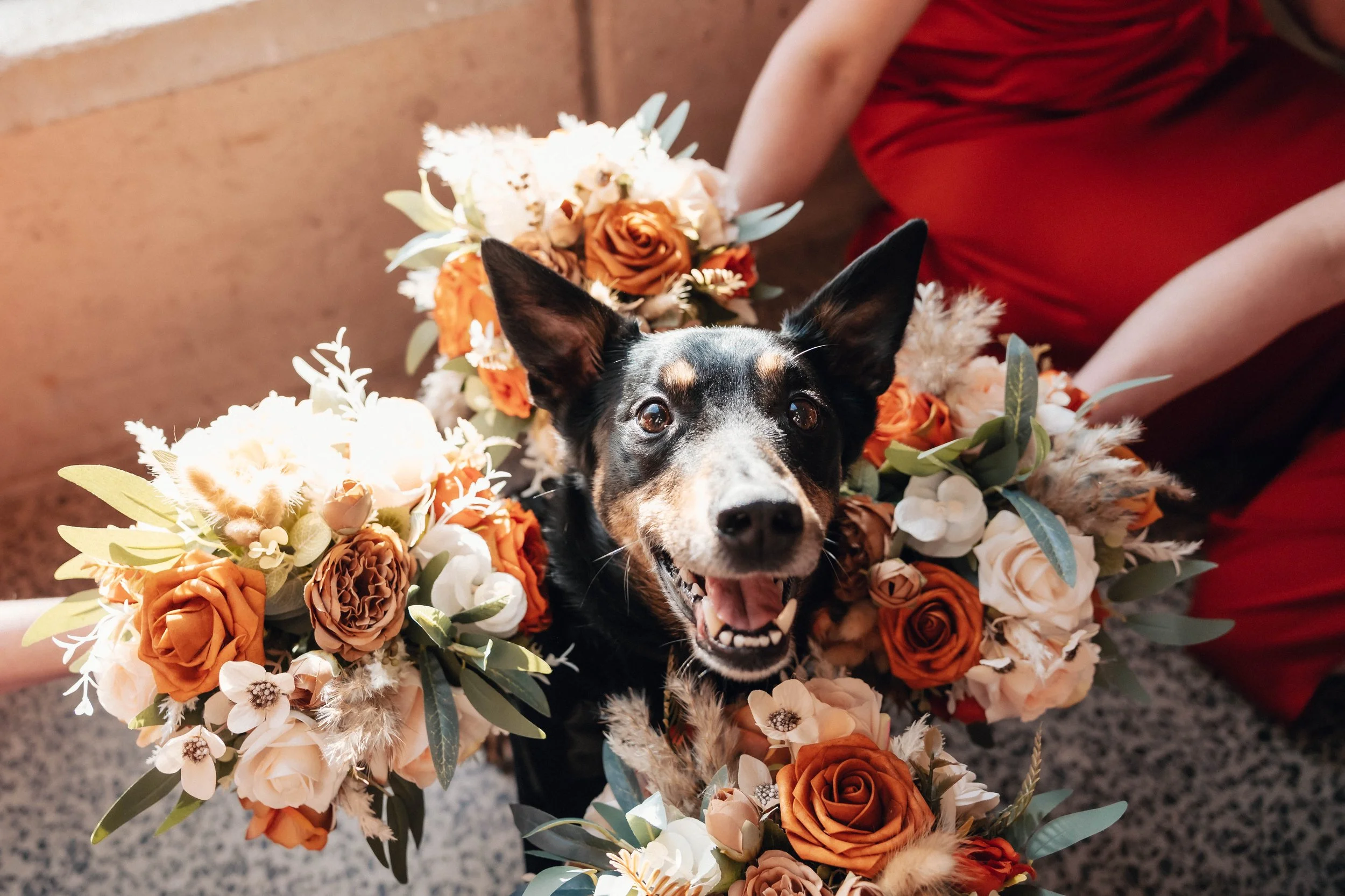 GEELONG WEDDING PHOTOGRAPHER-5.jpg