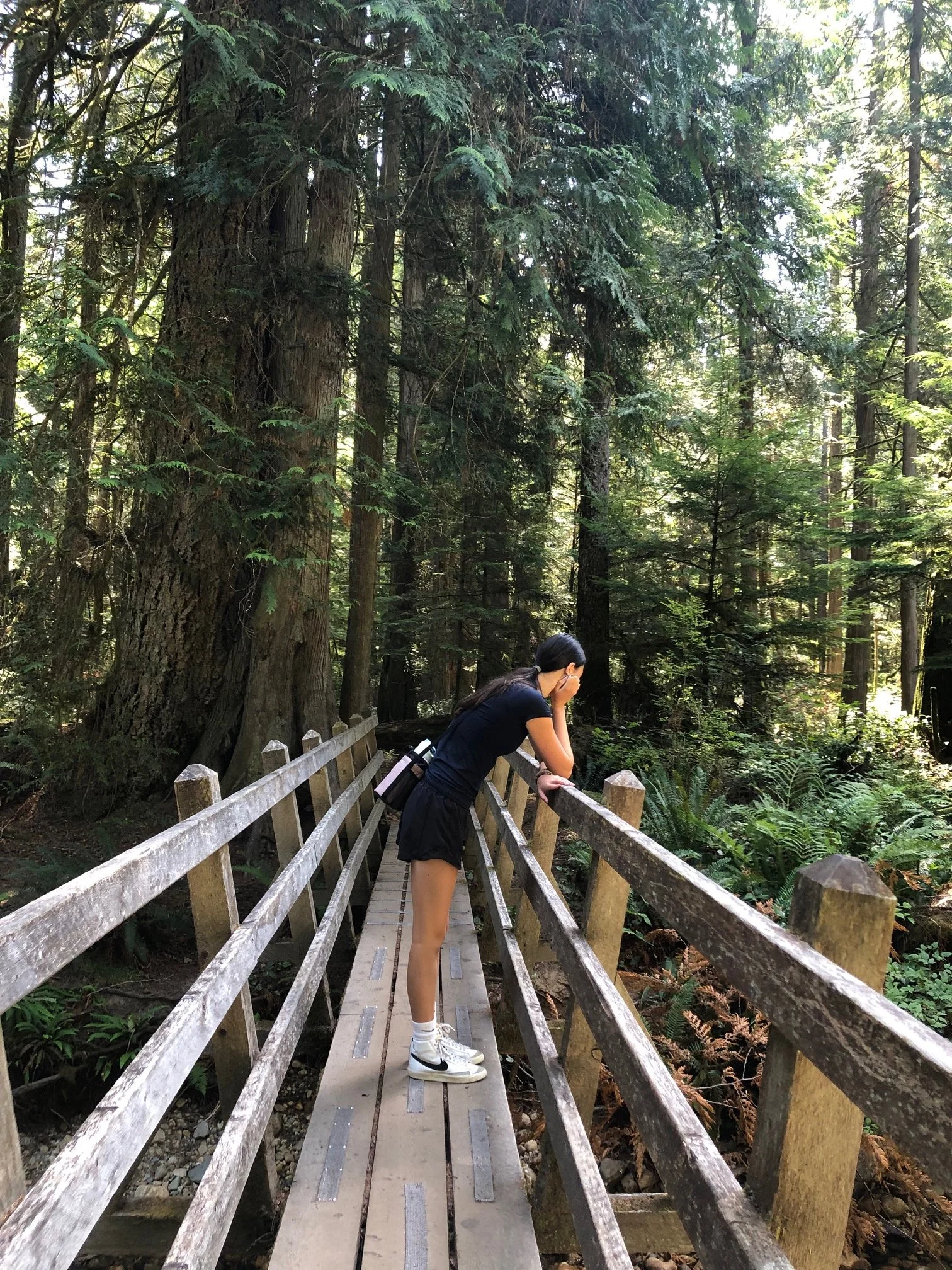An adolescent on a bridge contemplating the forest