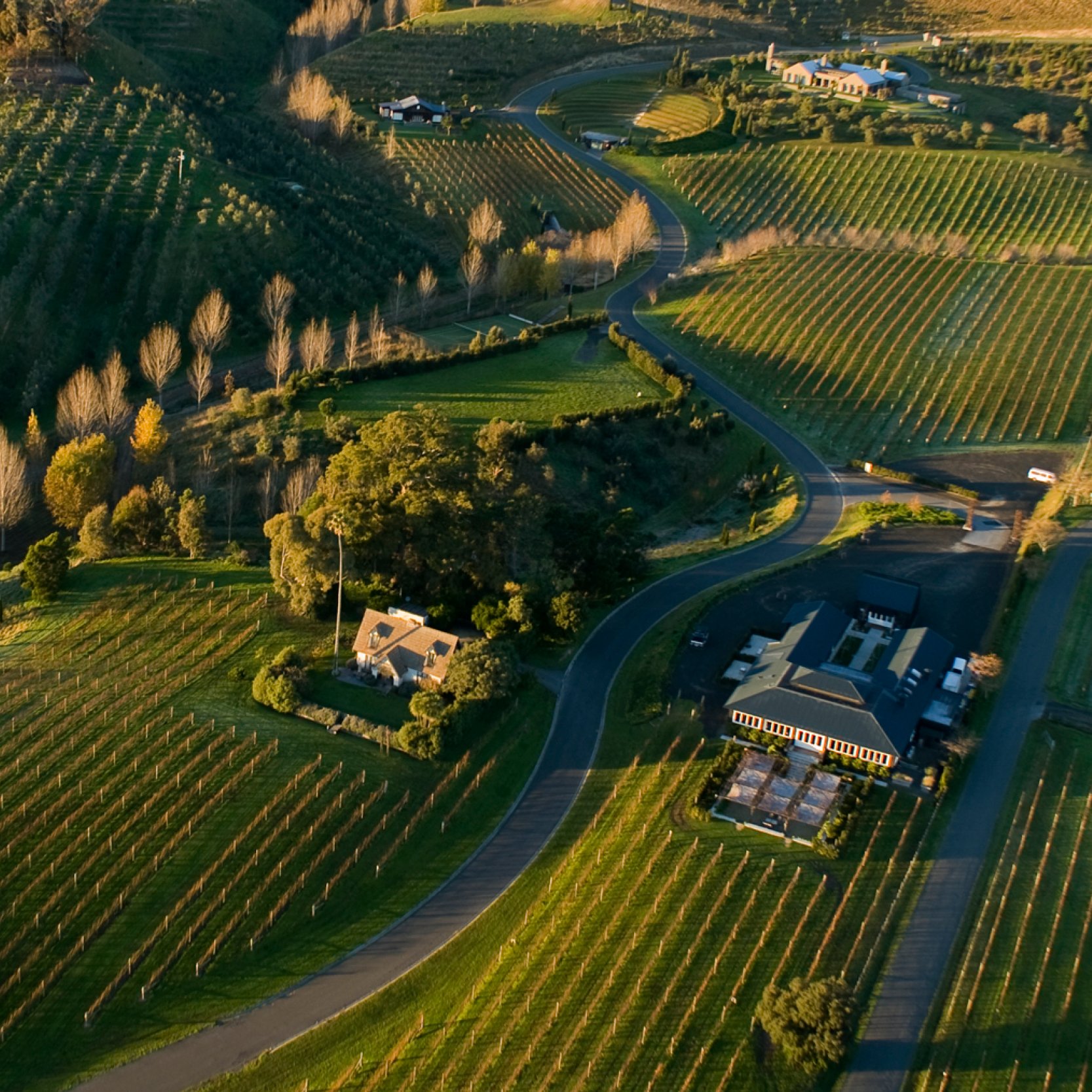 Exhibitors — Harvest Hawke's Bay | A Food & Wine Celebration