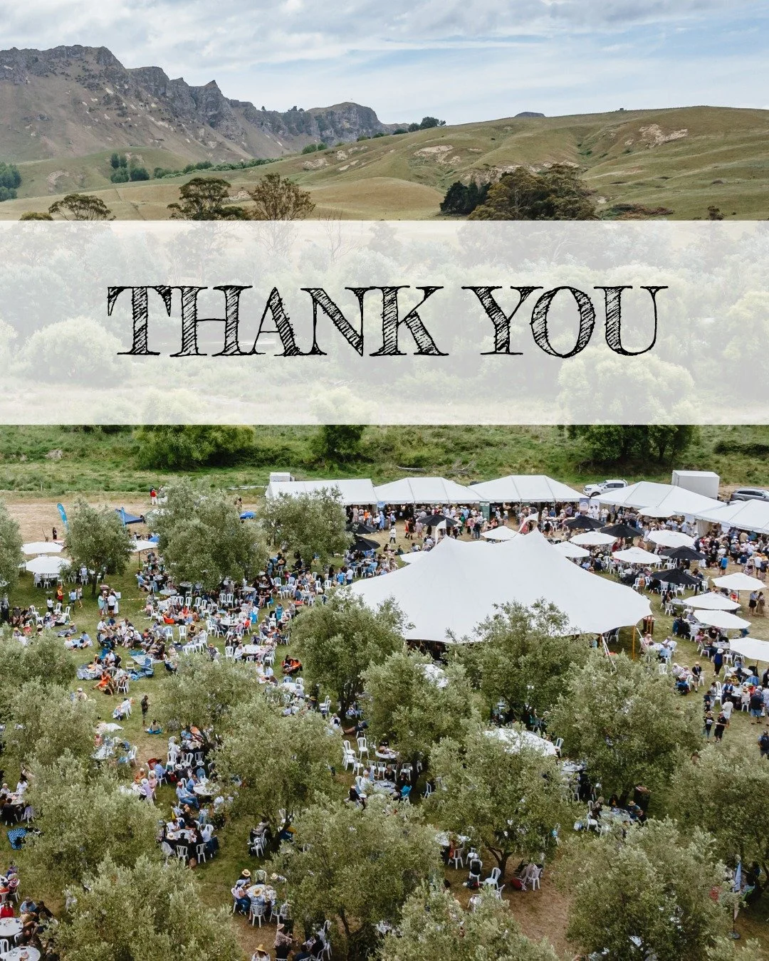 A huge thank you to the following organisations who help make this little festival a reality 🫶

@napiercitycouncil 
@hastings_nz 
@hawkesbaynz 
@coastradionz 
@hawkesbaytoday 
@brebnerprint 
@fionahorne.realestate 

We can&rsquo;t wait to party with