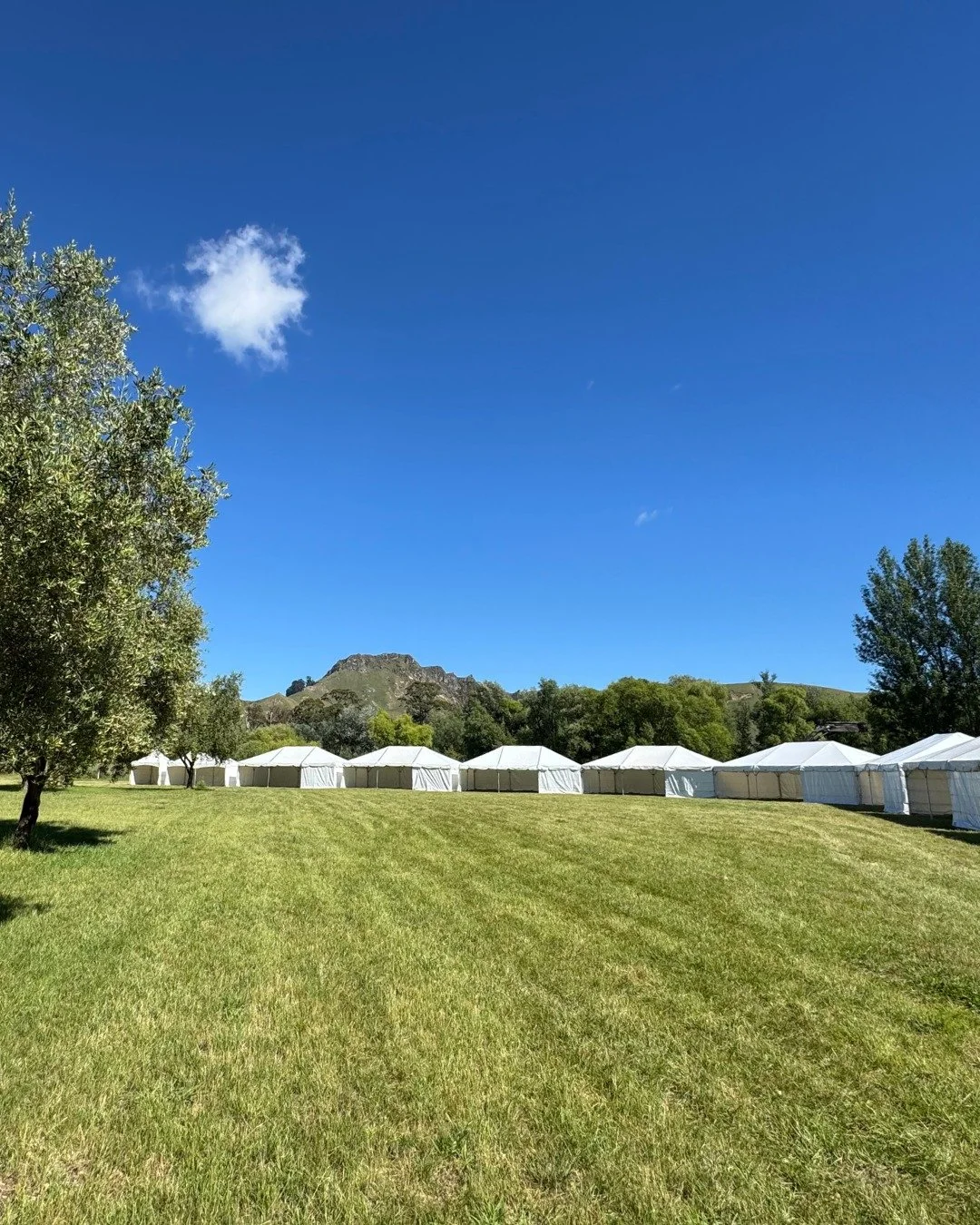 Only two sleeps to go until Harvest Hawke&rsquo;s Bay 2025 and the forecast is looking great ☀️
 
A big thank you to our team on the ground who are working tirelessly getting the festival site ready so you can eat, drink and dance the day away.
 
Jus