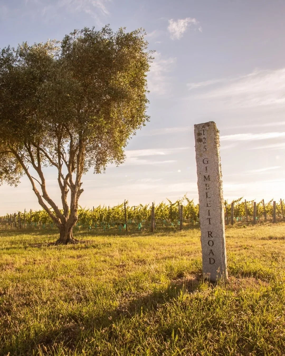 🍇 We&rsquo;re coming up to our second-favourite time of year - harvest 𝙄𝙉 Hawke&rsquo;s Bay.

There&rsquo;s a special kind of energy around the region right now. Early picks are underway, tractors are moving before sunrise, and the new vintage is 