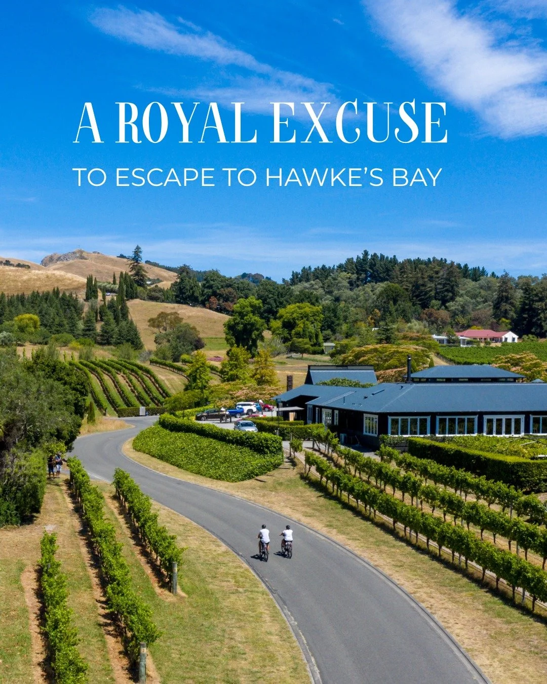 👑 This King&rsquo;s Birthday Weekend, treat yourself to a royal tour of Hawke&rsquo;s Bay - cycling between cellar doors, lingering over long lunches, and discovering why Hawke&rsquo;s Bay is one of only 12 Great Wine Capitals in the world.
Stay the