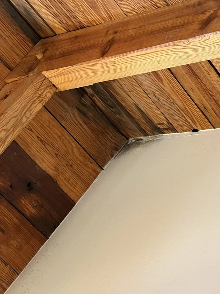 Mold at the corner where the wall meets the wood ceiling.