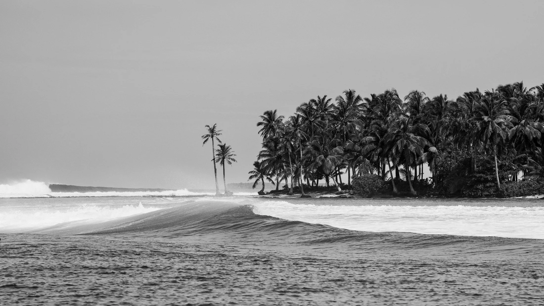 indo-black-and-white.jpg