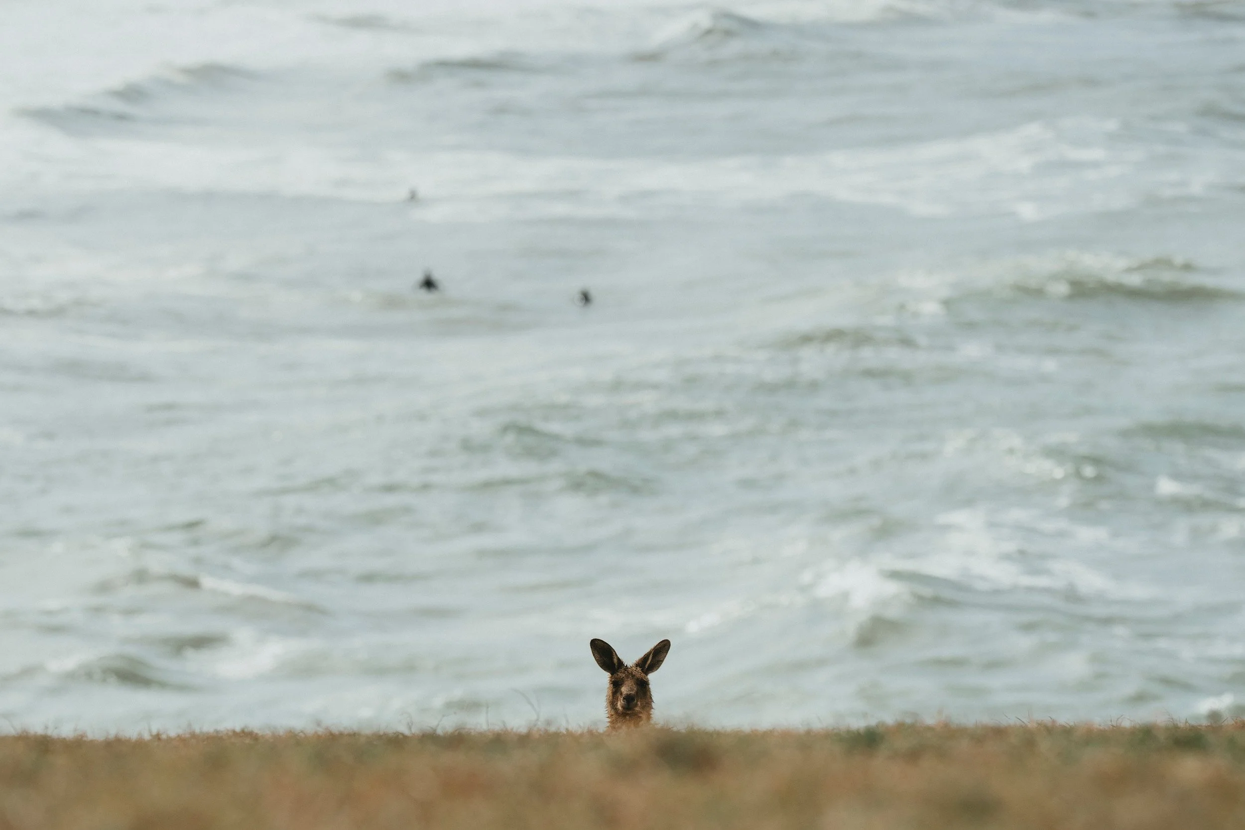 road-trip-qld-9.jpg