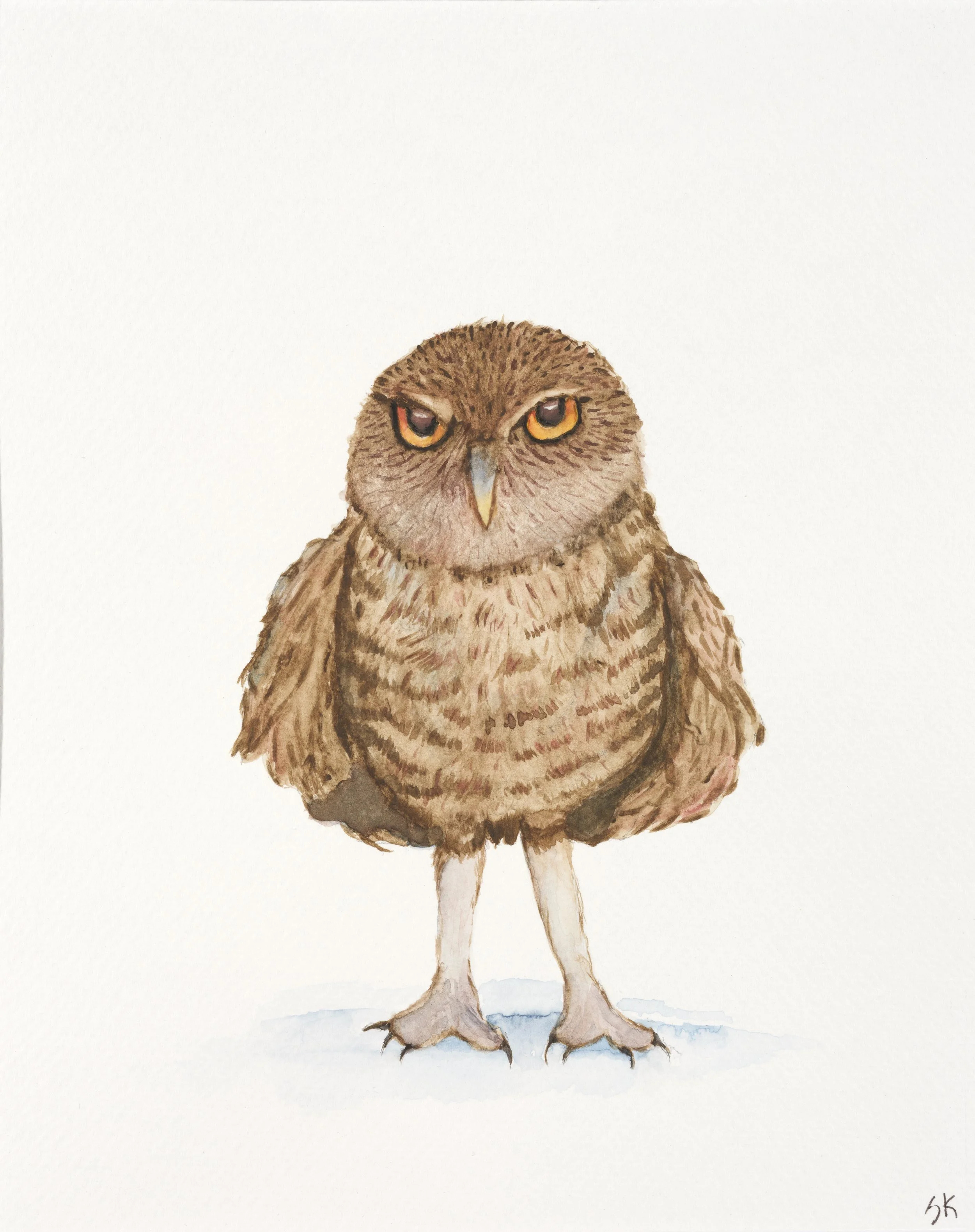 Watercolor Owl 2