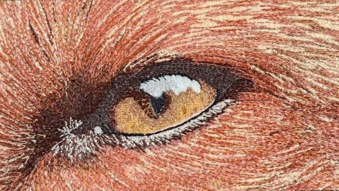 “Intensity” selected by MCAS jury