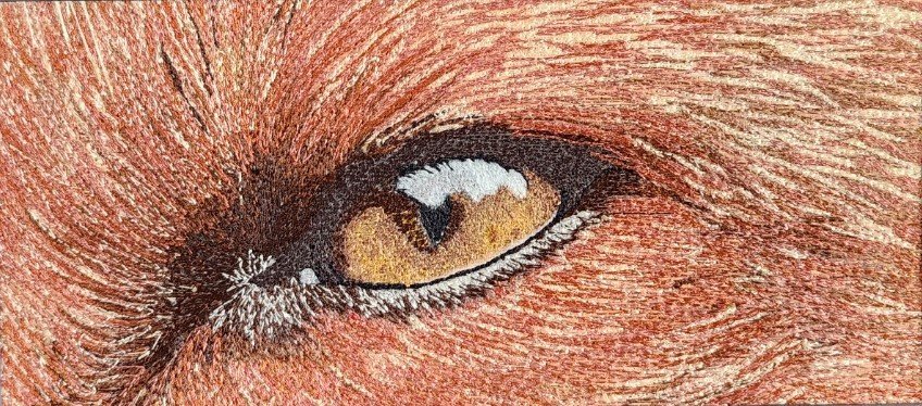 Opening Reception Feb. 9th 6-10pm @ MCA