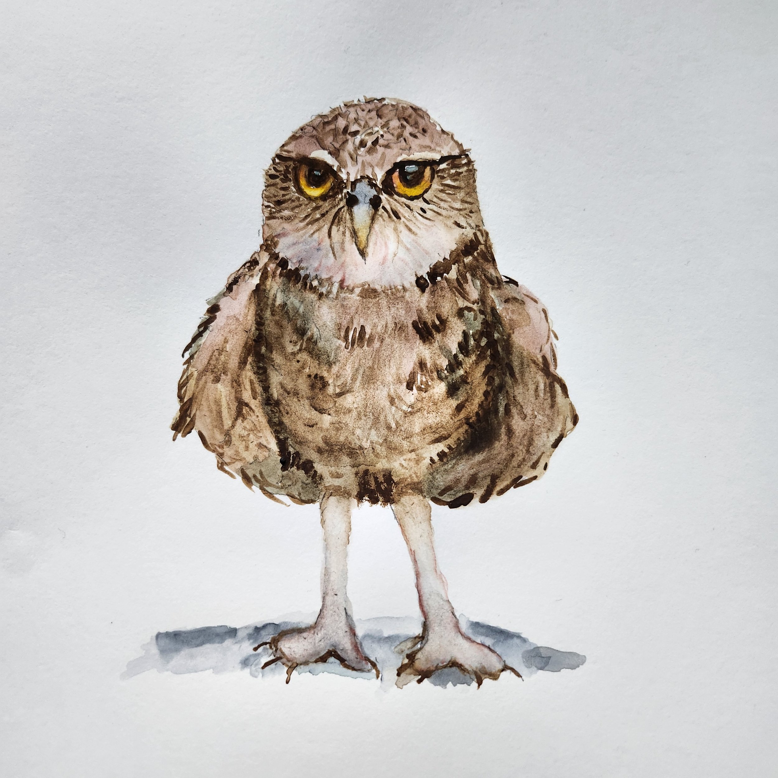 Watercolor Owl juried into Interpretations IX - Reception 3/9/24   2:00-4pm