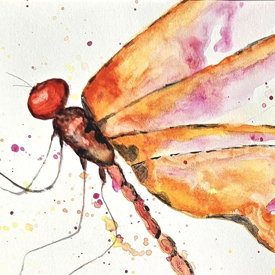 Honorable Mention and Cash Award