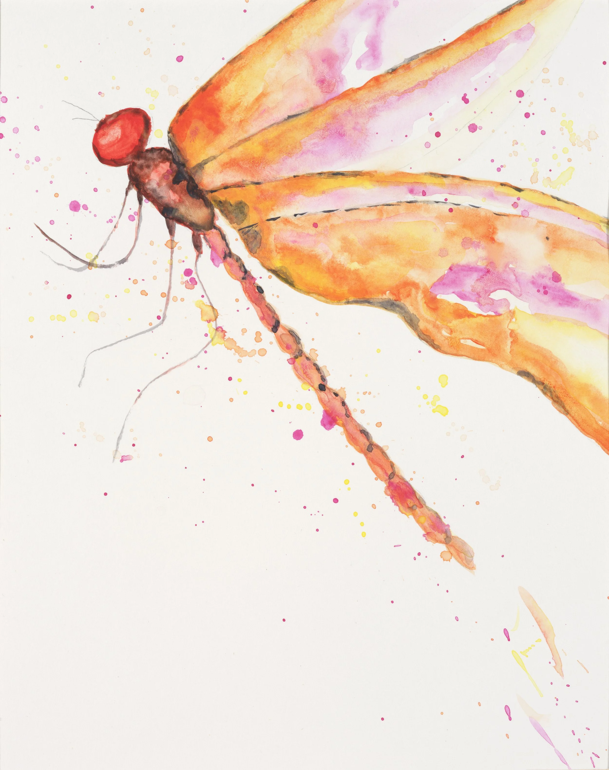 Orange and pink dragonfly - Honorable Mention Award from WHAM Gallery Birds and Bees juried exhibition 2024