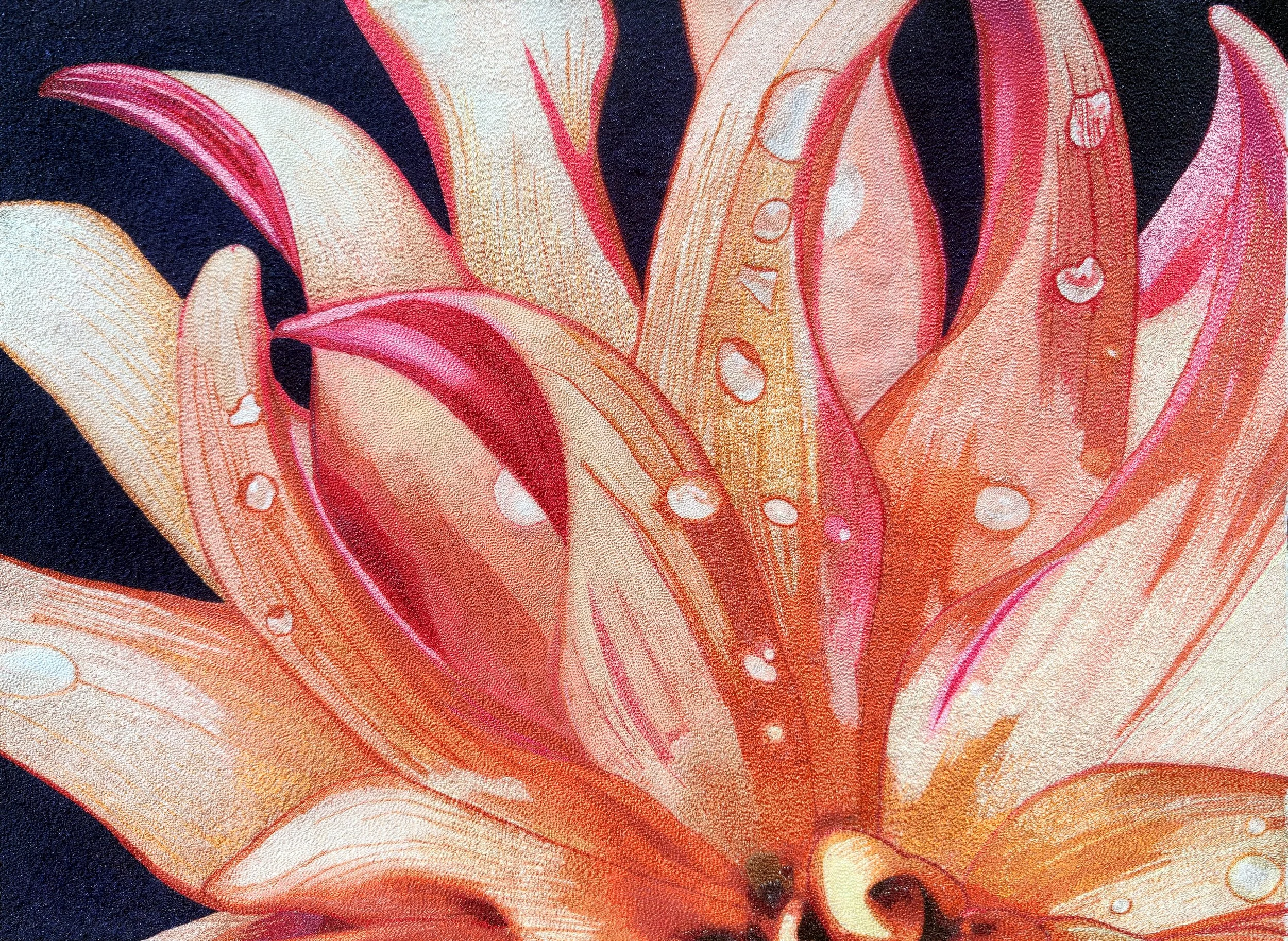 Bloom