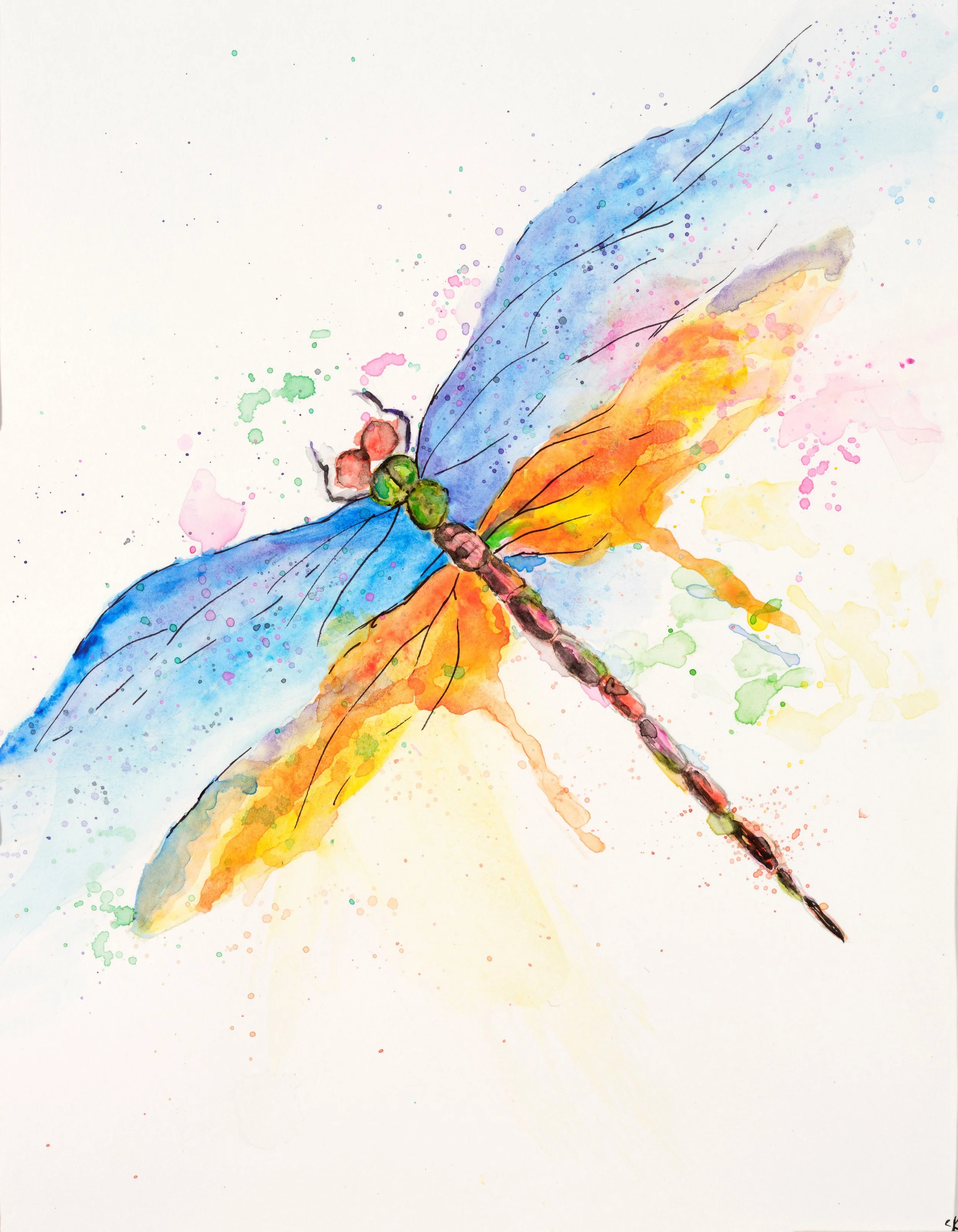 Blue and orange dragonfly