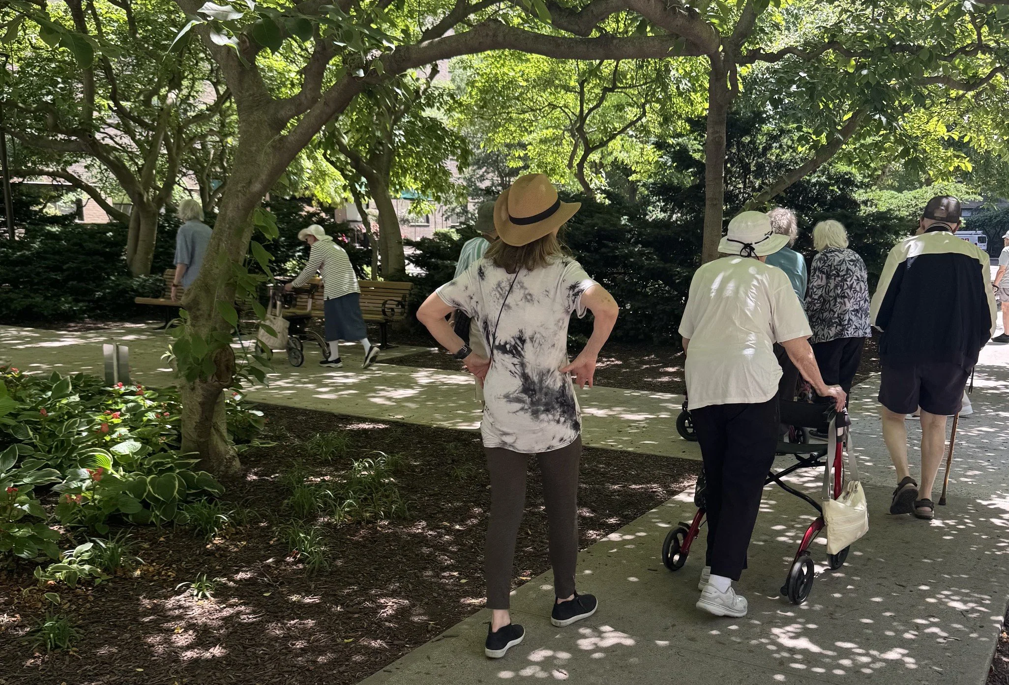 Sunday Easy Walk Group