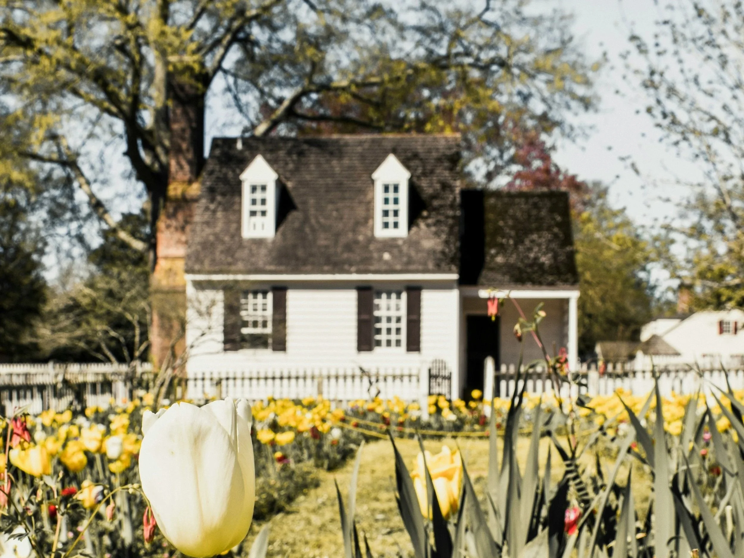 Photo of white House behind tulip garden located in Virginia by Jalen Hueser on Unsplash