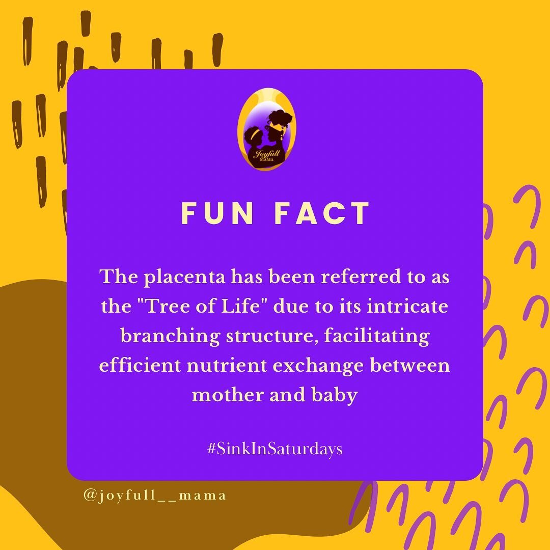 🌳The placenta, often dubbed the &quot;Tree of Life,&quot; boasts an astonishing resemblance to intricate branches on a tree! 

🤰🏽This fascinating organ works its magic by facilitating a seamless nutrient exchange between a mother and her baby. Nat
