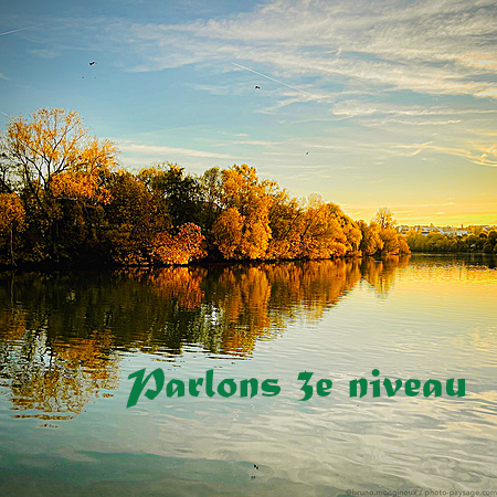 Reflets-arbre-dores-marne.png