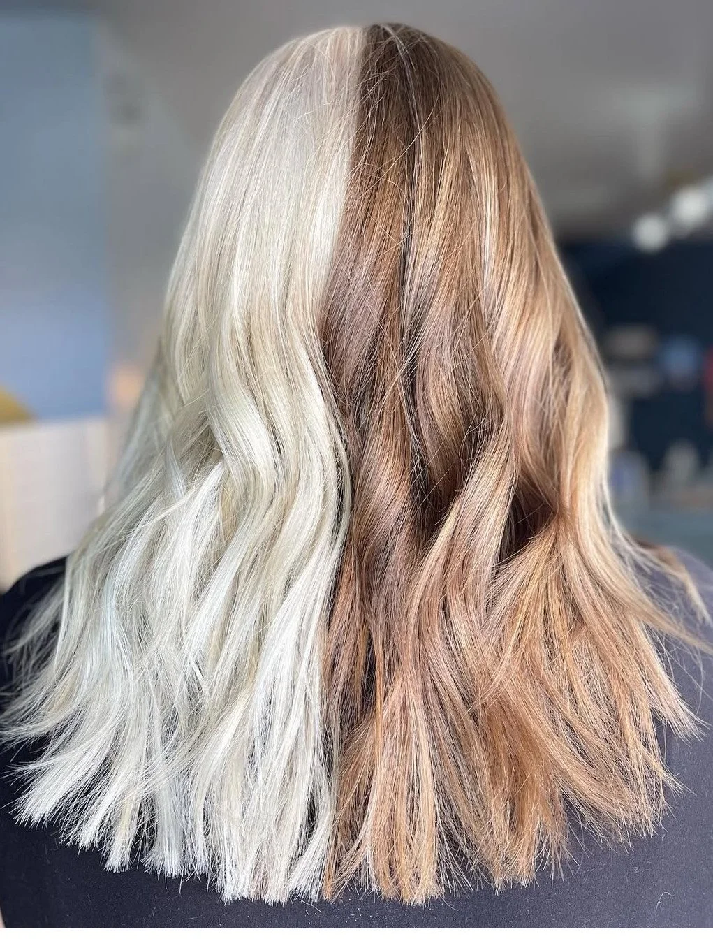 image_123650291 (3).JPG