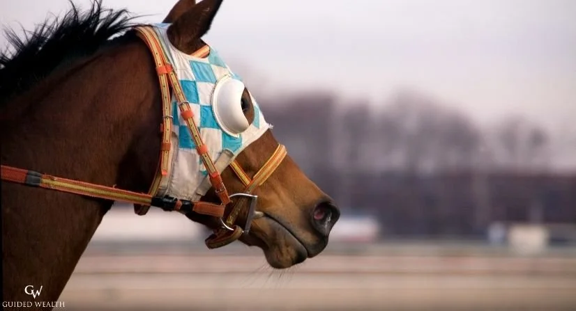 What Spring Racing Carnival Odds Can Teach You About Investment Risk