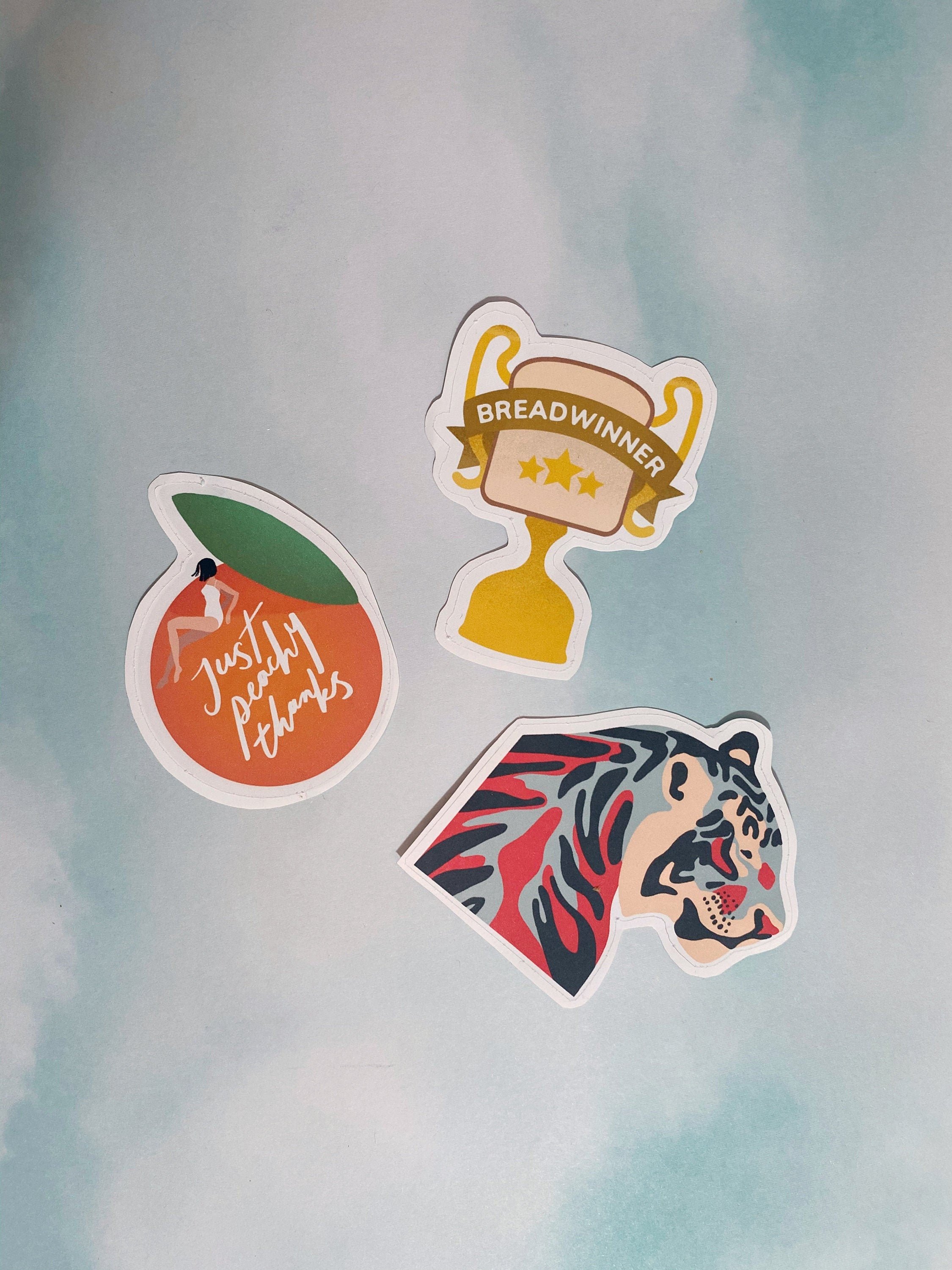 https://i.etsystatic.com/11140569/r/il/a25e6f/2958713110/il_fullxfull.2958713110_rbxv.jpg