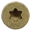 btx_torx_star_wood_screw_head.jpg