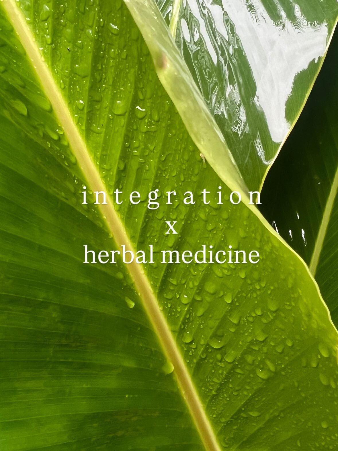 Herbal allies are like sweet friends that may be helpful during the integration period after a psych-del*c journey. 

Like a good friend, they&rsquo;re not there to solve a problem, not there to &ldquo;fix&rdquo; or &ldquo;cure&rdquo; anything. Rathe