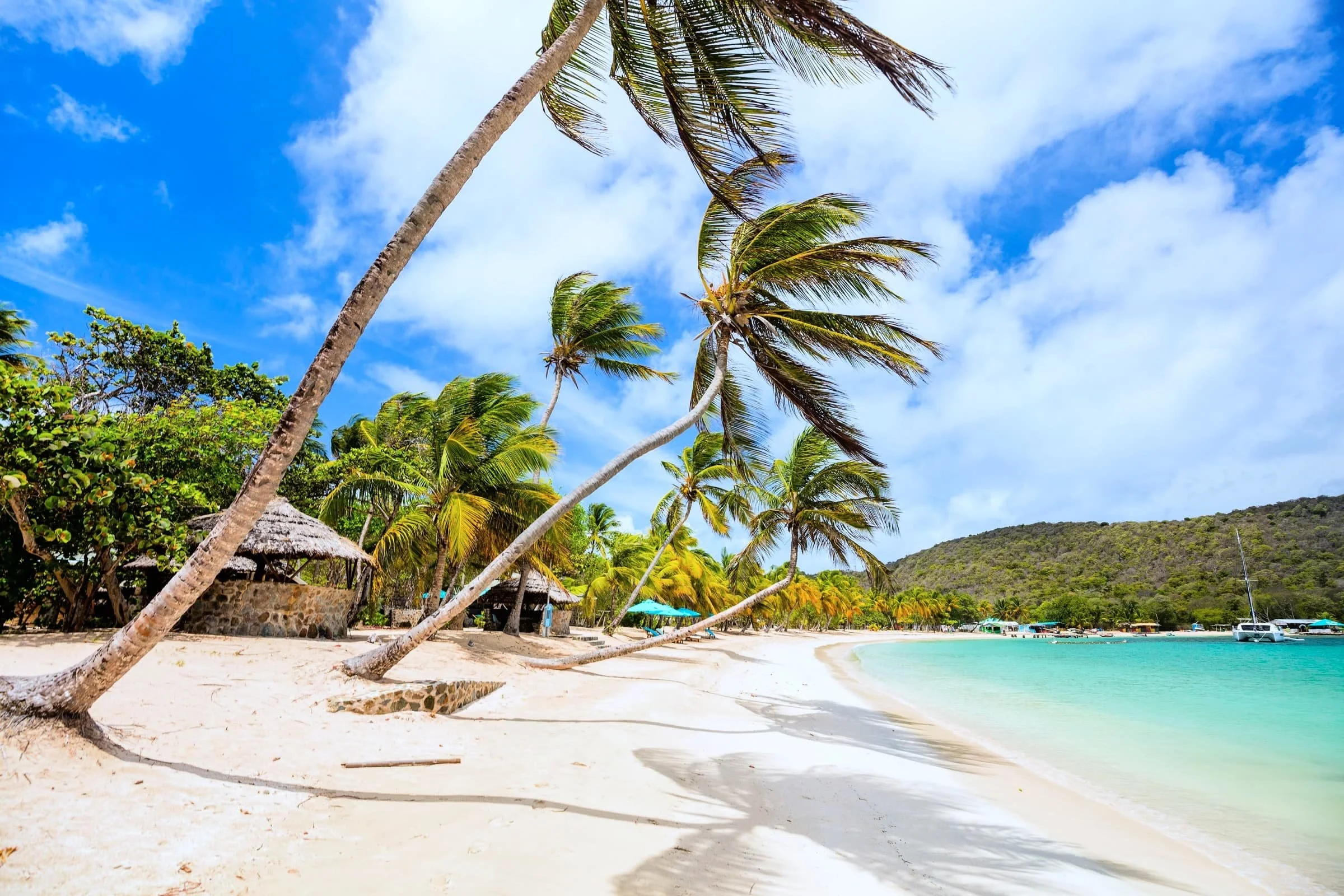 Palms on the beach at Salt Whistle Bay