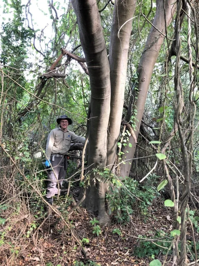 Greg’s obsession with protecting biodiversity continues…