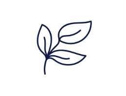 Line drawing of three leaves on a stem