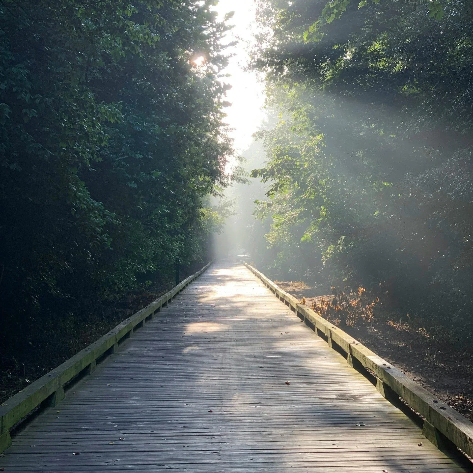 When You’re Ready to Look Beneath the Surface