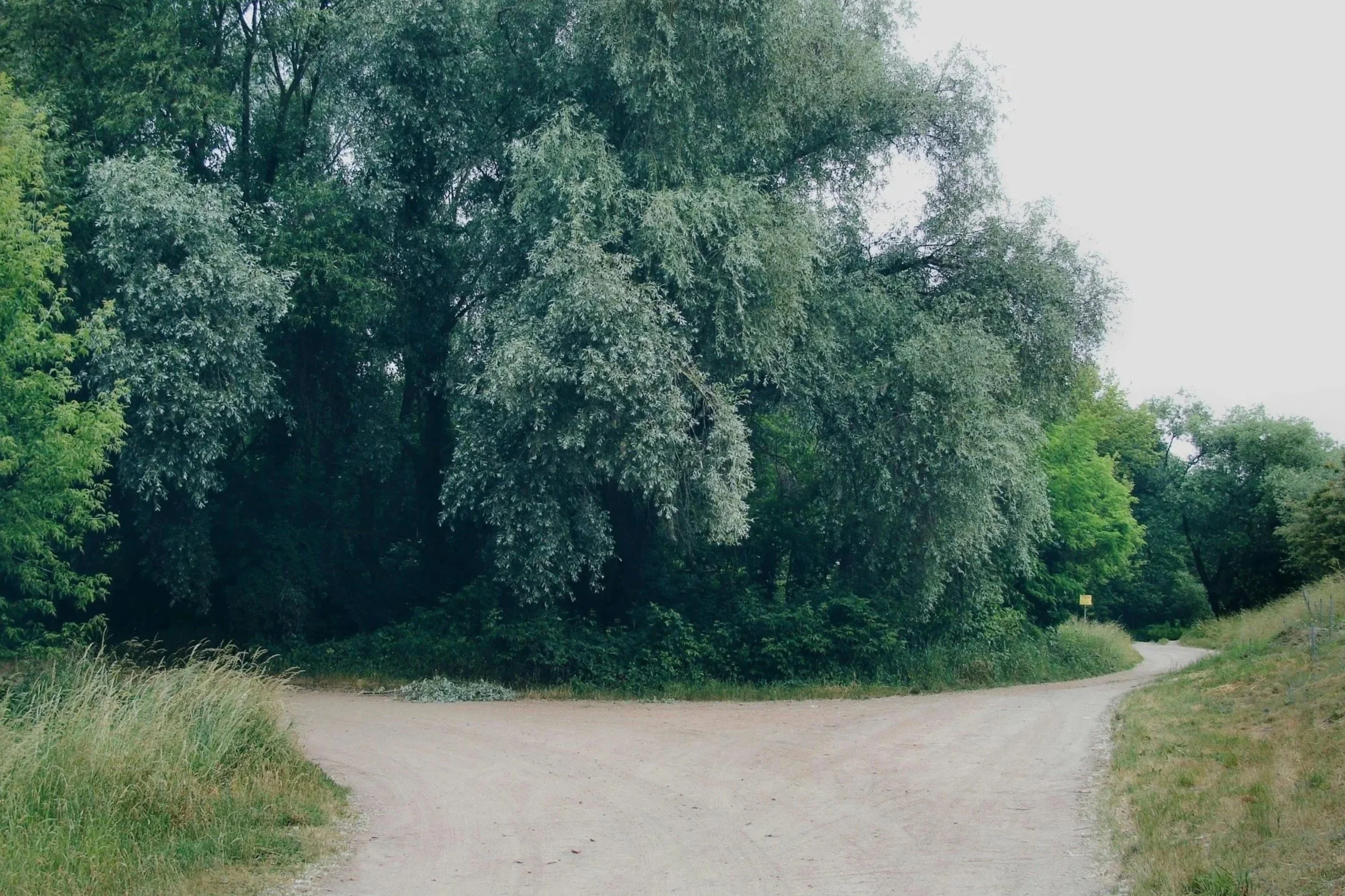 Fork in a dirt road surrounded by trees, symbolizing choice and setting healthy boundaries