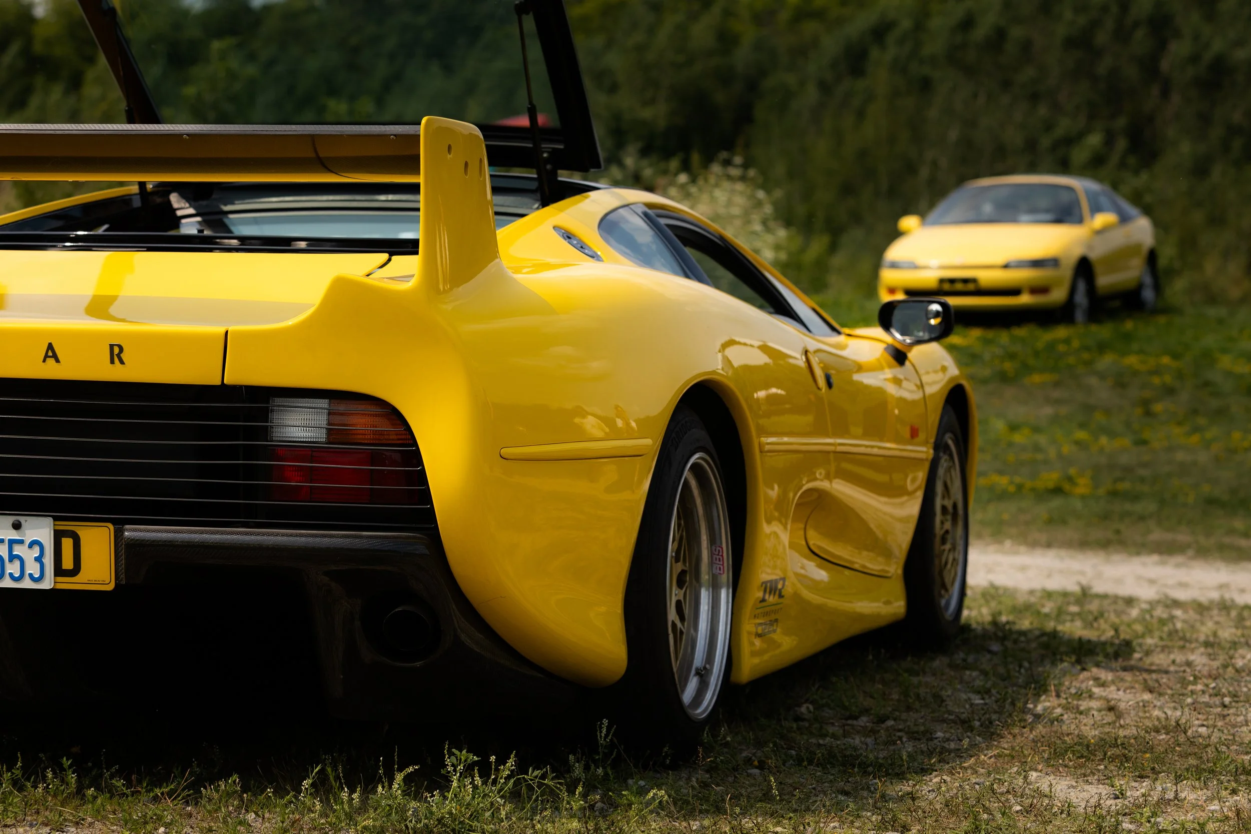 IMG_3725-Edit.jpg