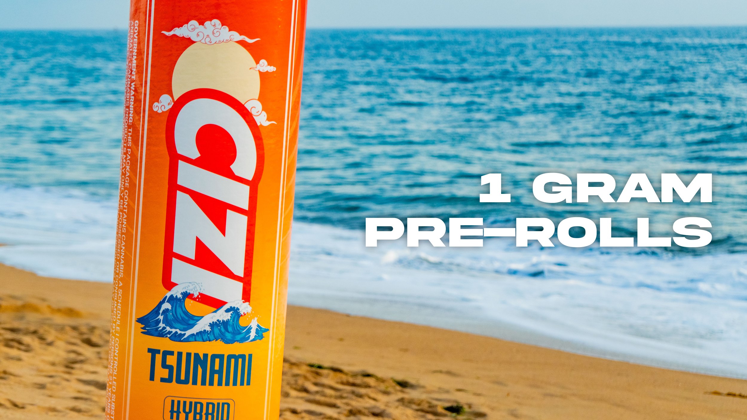 CIZI Product Catalog_Oct 2025-02.jpg