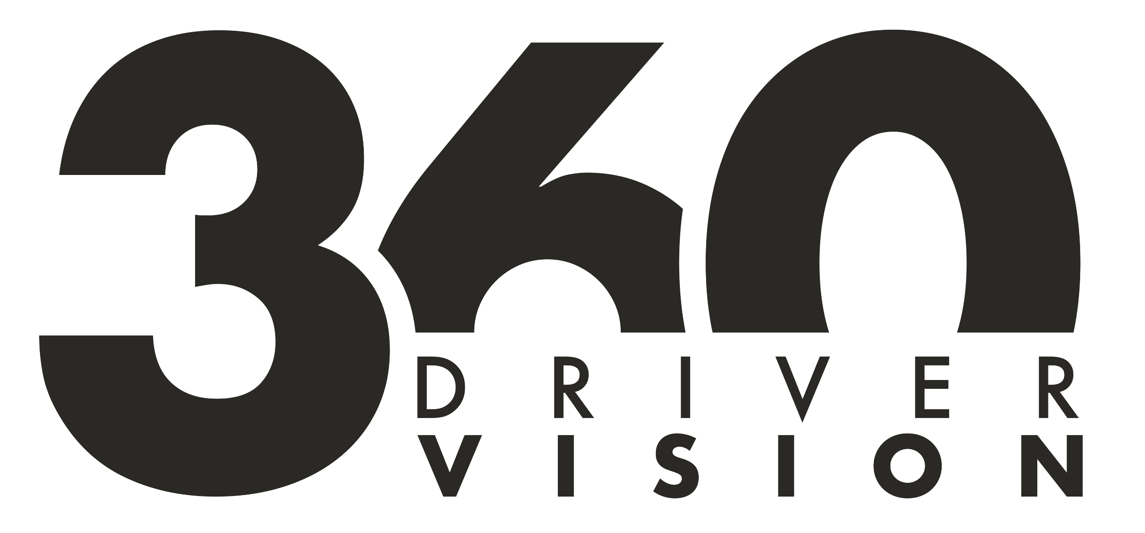 Juliane Sicat Driver Safety Tech Logo 3.png