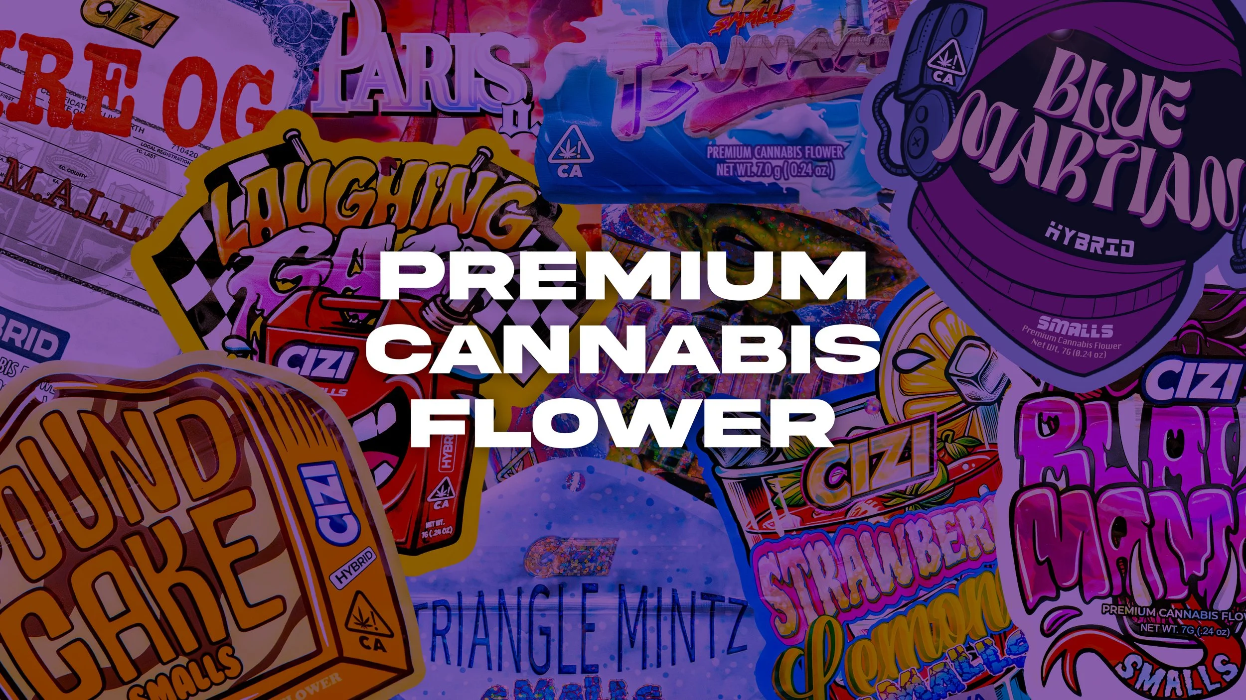 CIZI Product Catalog_Oct 2025-06.jpg