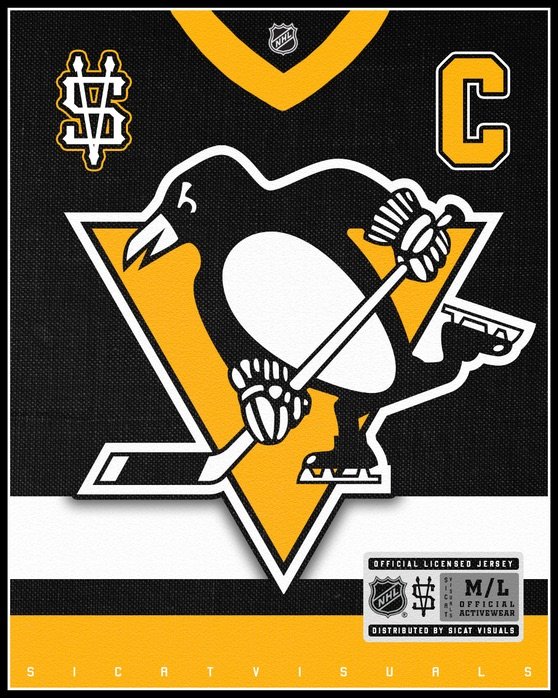 Juliane-Sicat-Sports-Design-Pittsburgh-Penguins.jpeg