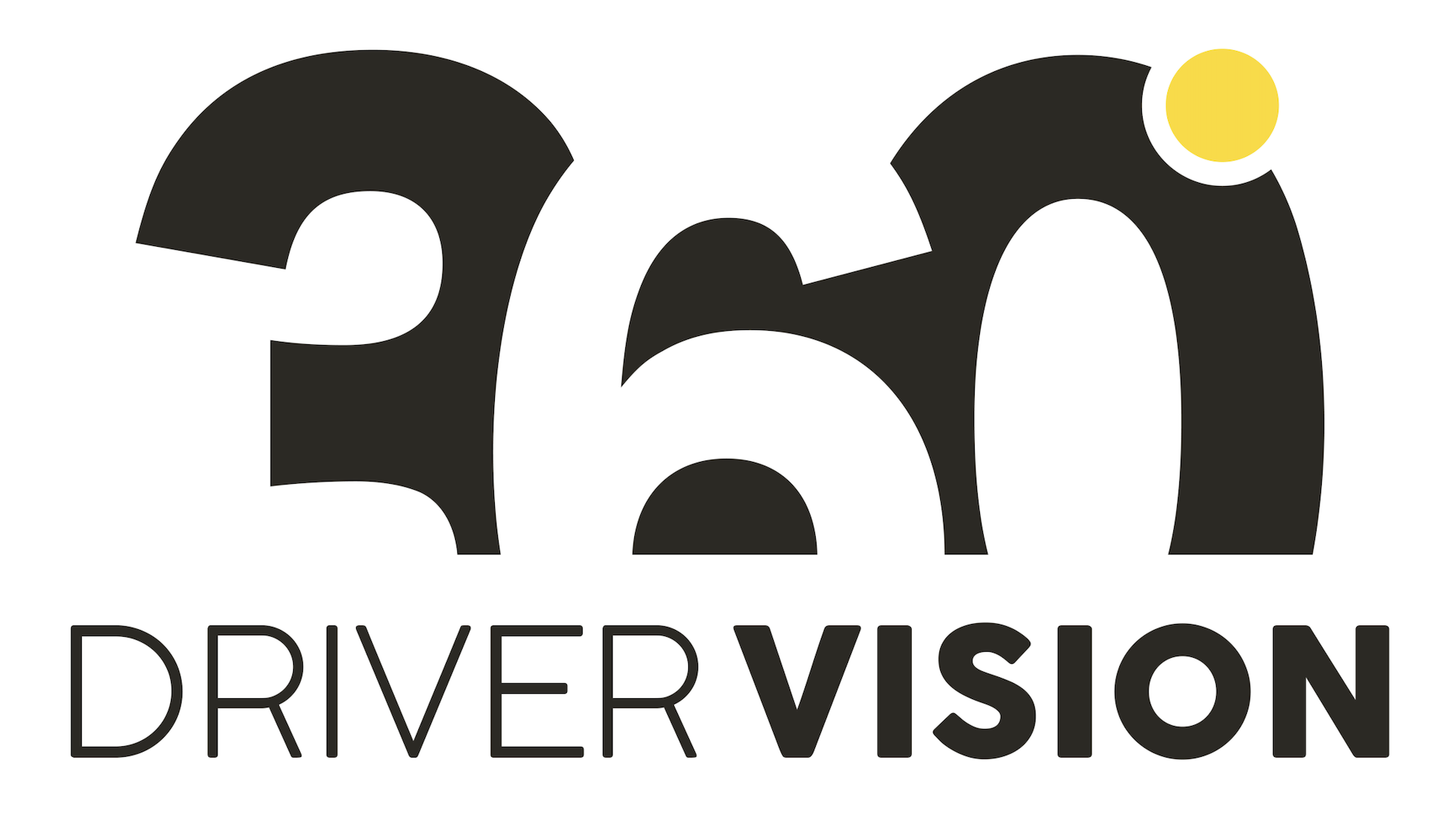Juliane Sicat Driver Safety Tech Logo 4.png